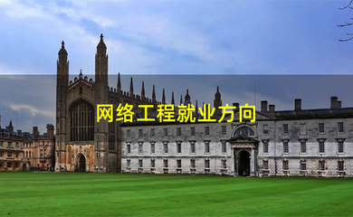 網(wǎng)絡(luò)工程與計(jì)算機(jī)網(wǎng)絡(luò)應(yīng)用軟件 融合驅(qū)動(dòng)下的多元化就業(yè)前景